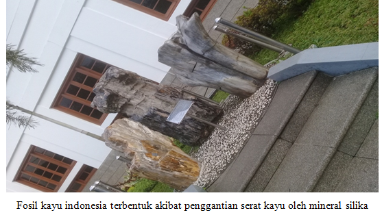 Laporan Perjalanan Study Tour Ke Bandung Museum Geologi Seputar Laporan