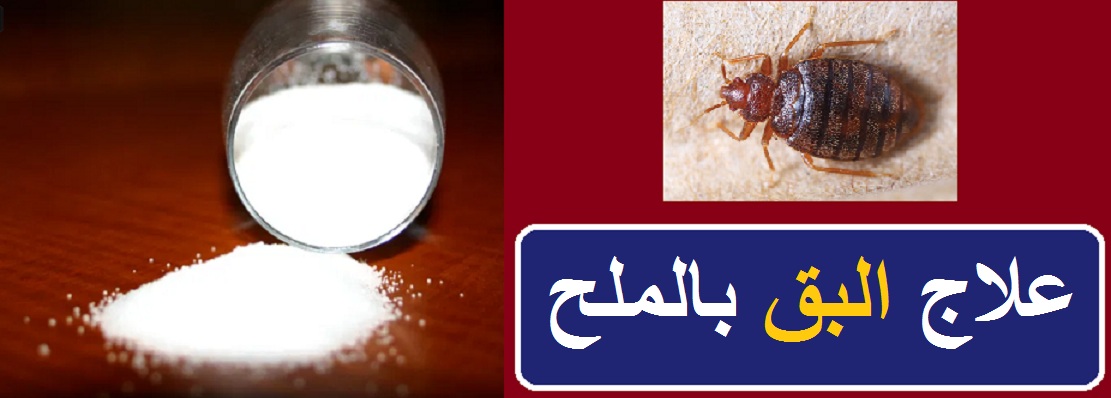 هل الحشرات غاضبة من الله؟ أنا أعرف الجواب