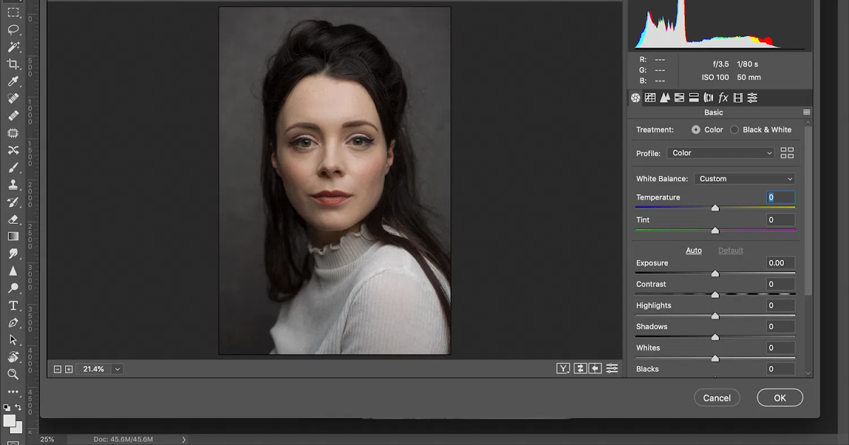 Adobe camera raw filter download Adobe camera raw filter download