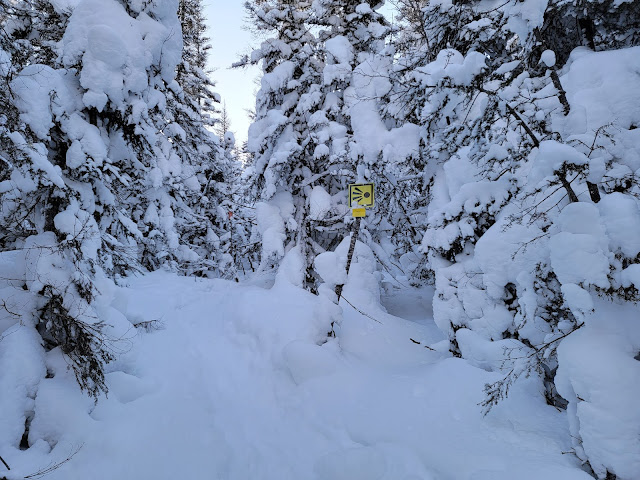 Sur le sentier Le Valinouet