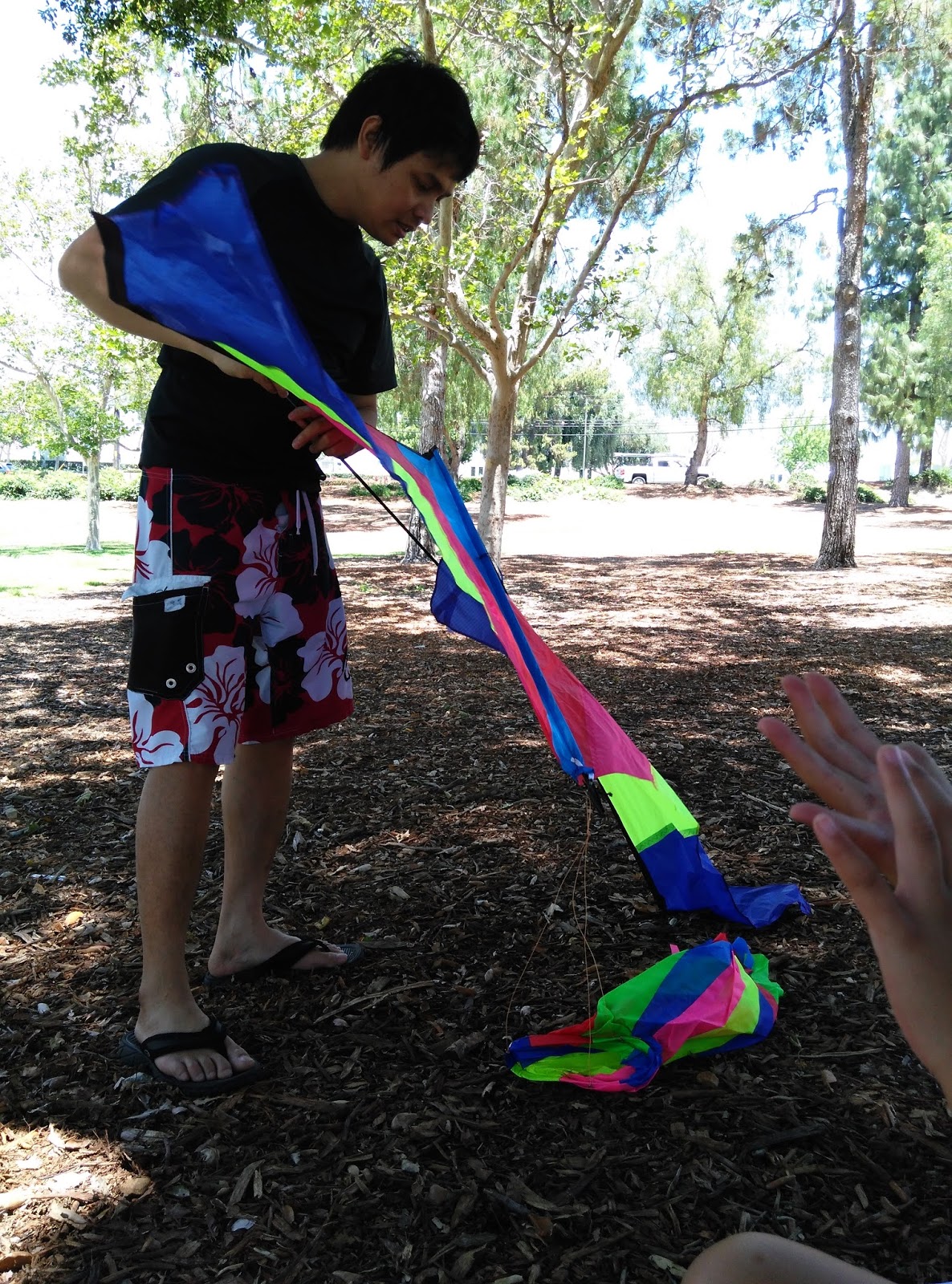 mygreatfinds Large Delta Kite With Tail By Get Childish Review