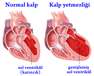 Podoworld Hastaliklar Bilgisi