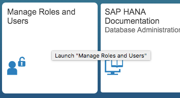 SAP HANA XS Classic, Develop your first SAP HANA XSC Application