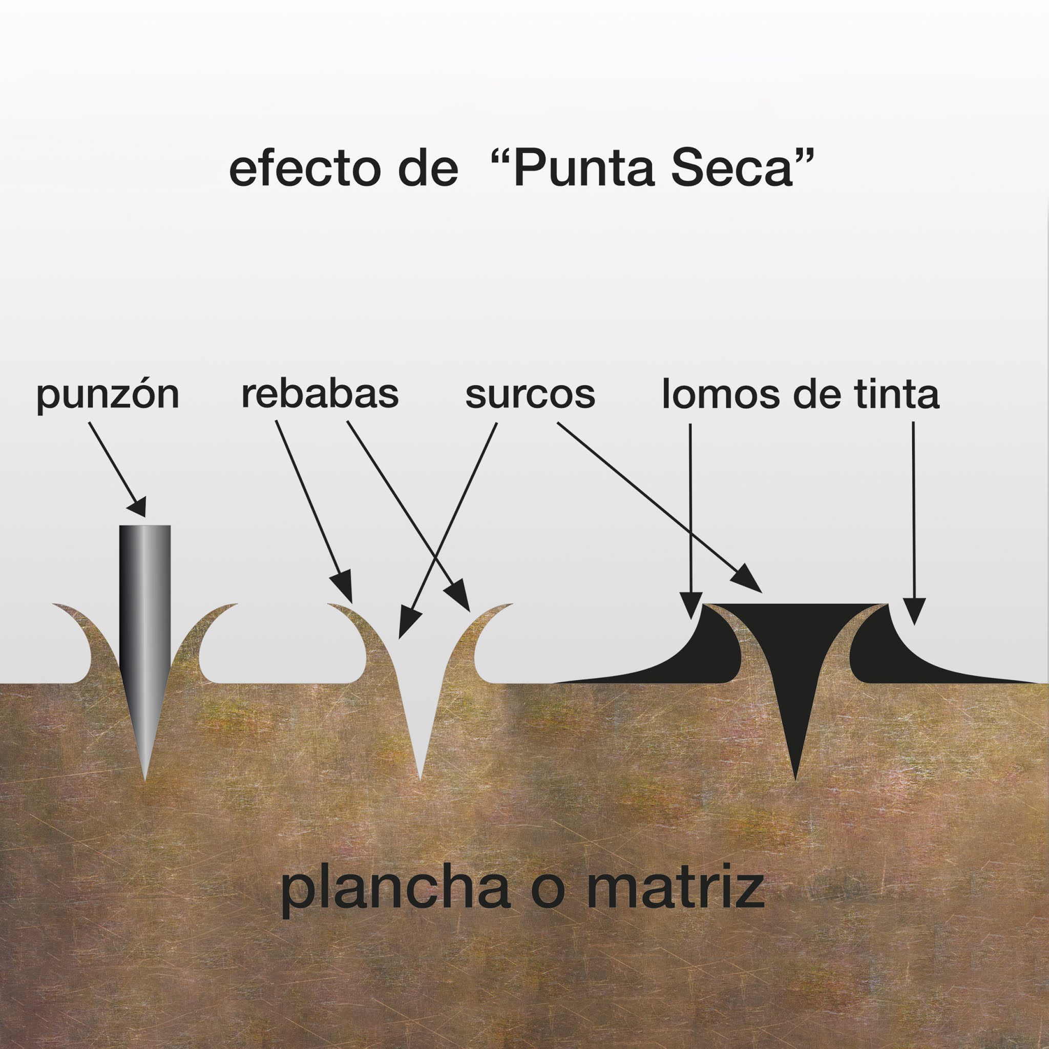 Gfco_Punta_Seca