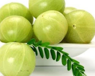 Erbe ayurvediche per rafforzare immunità Erbe ayurvediche per rafforzare immunità