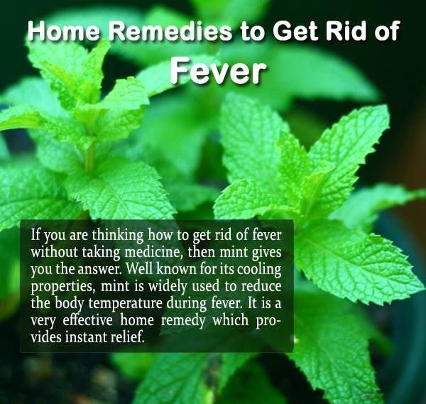 AVOID PANADOL TABLET... USE MINT LEAVES FOR FEVER, COUGH AND HEADACHE