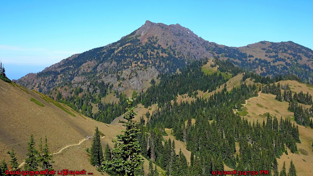 Olympic National Park