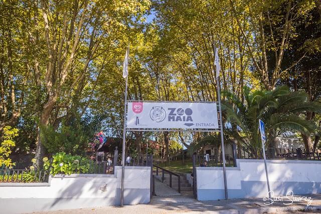 Zoo de Maia - Descubre Cada Día