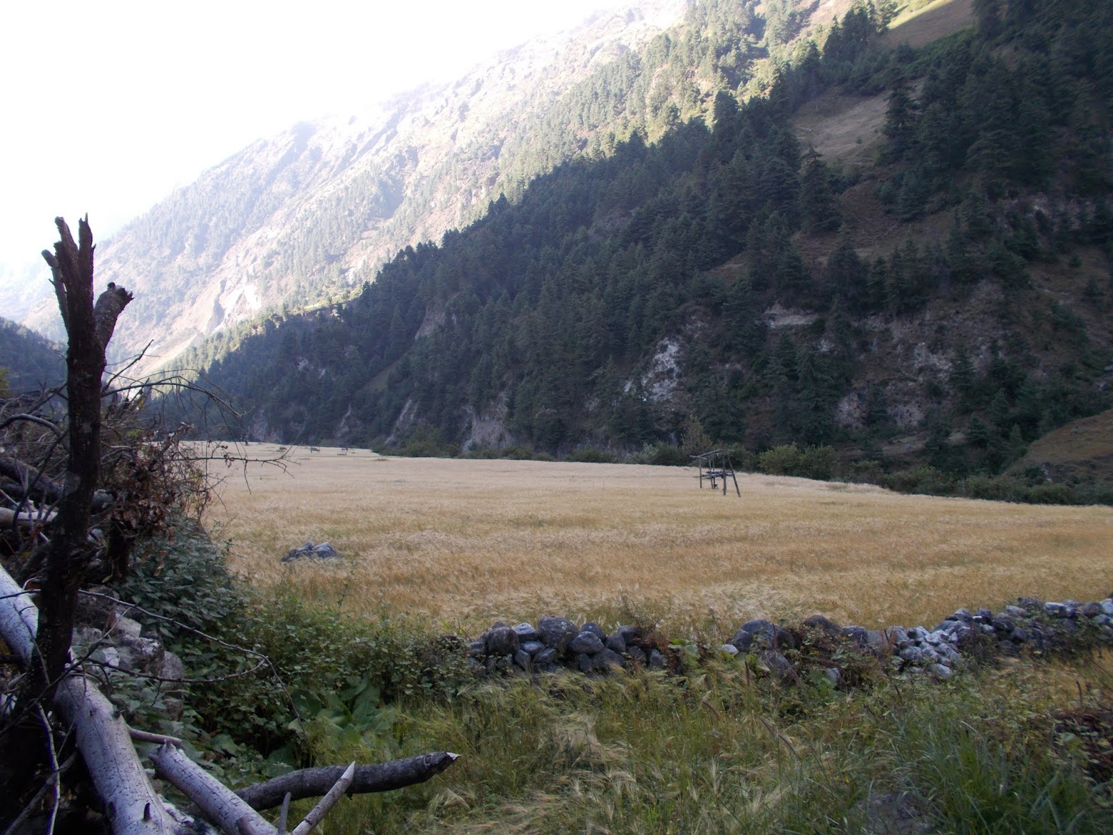 Вокруг Манаслу, долина Цум, Нар-Пу. Непал 2017.