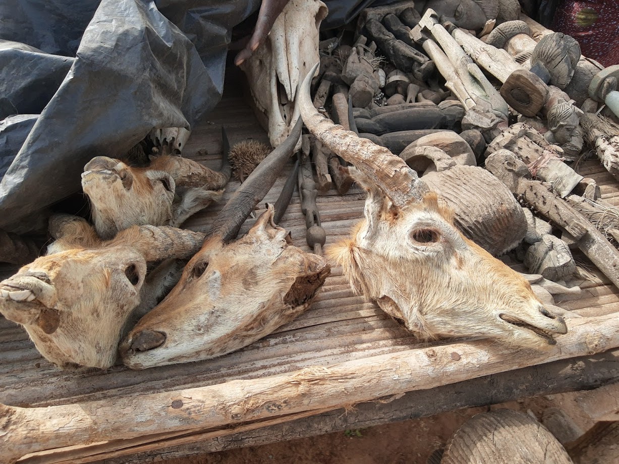 ベナン旅行記 アウトテイクス