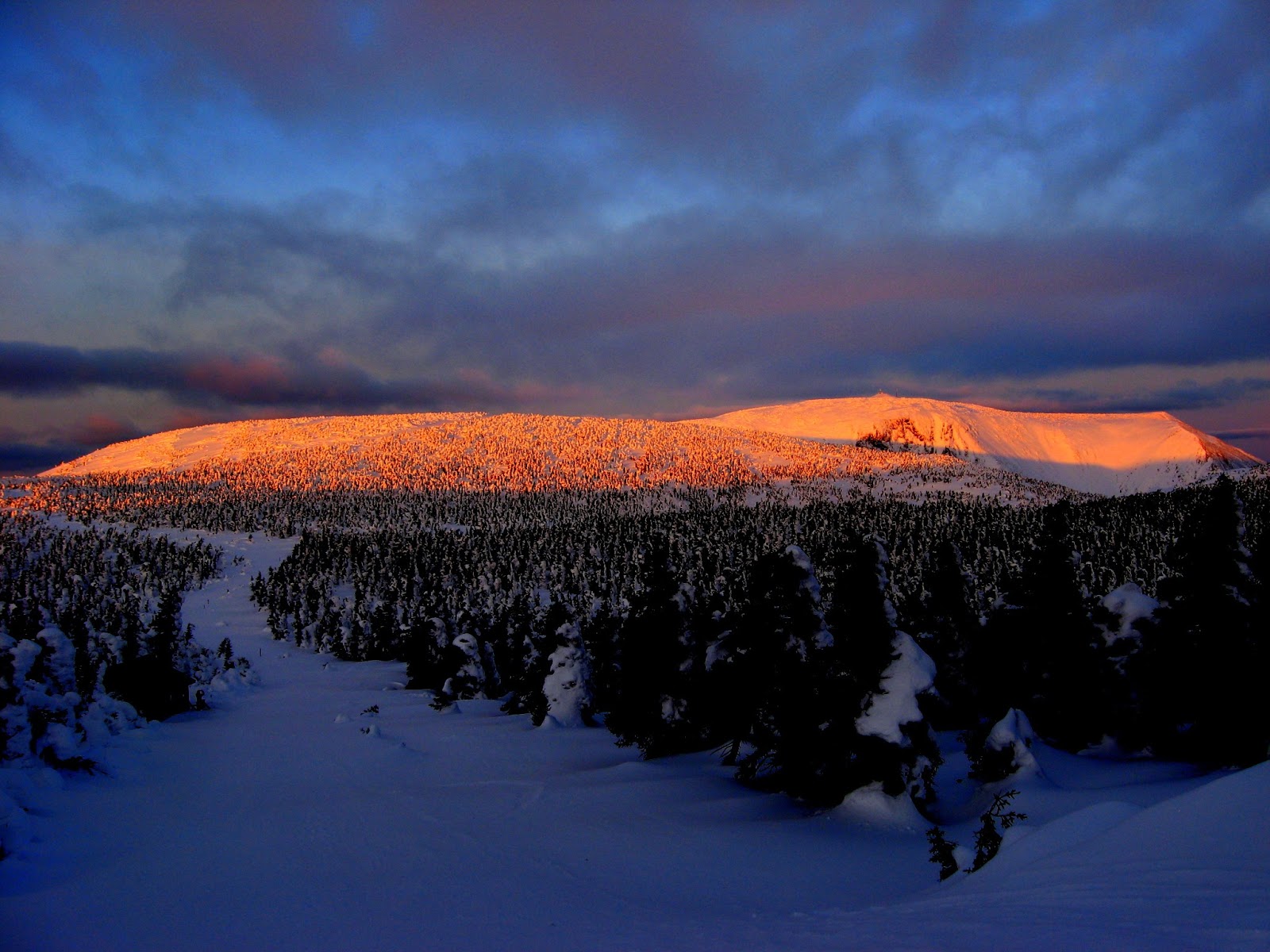 Lotus and Cedar Huttohut Crosscountry skiing in Chic Choc Mountains
