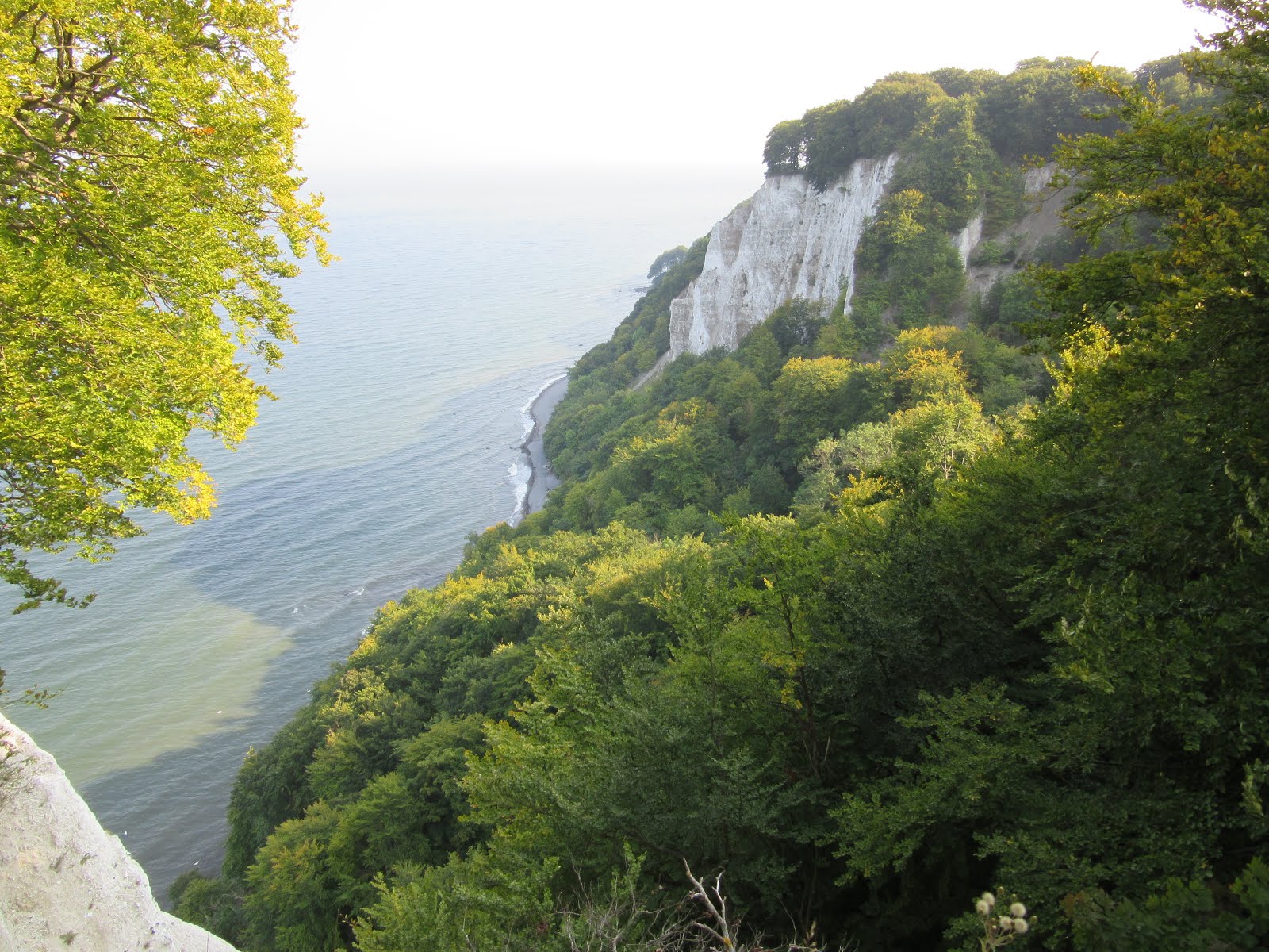 Rügen