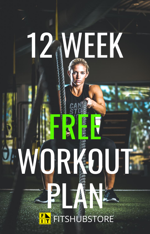 The Ultimate 12 Week Muscle Building Workout Plan Fitshub The Ultimate 12 Week Muscle Building Workout Plan Fitshub
