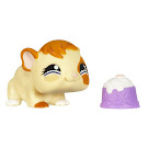 Littlest Pet Shop Singles Guinea Pig (#1044) Pet