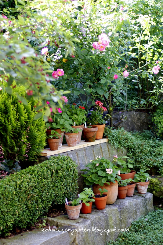 Ein Schweizer Garten