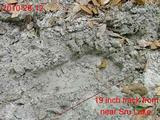 Footprint Evidence