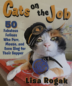 Feline Fiction on Fridays #116 at Amber's Library ©BionicBasil®Cats on the Job Amber's Purrsonal Copy