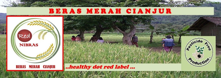 beras merah cianjur: Mengenal Beras Merah