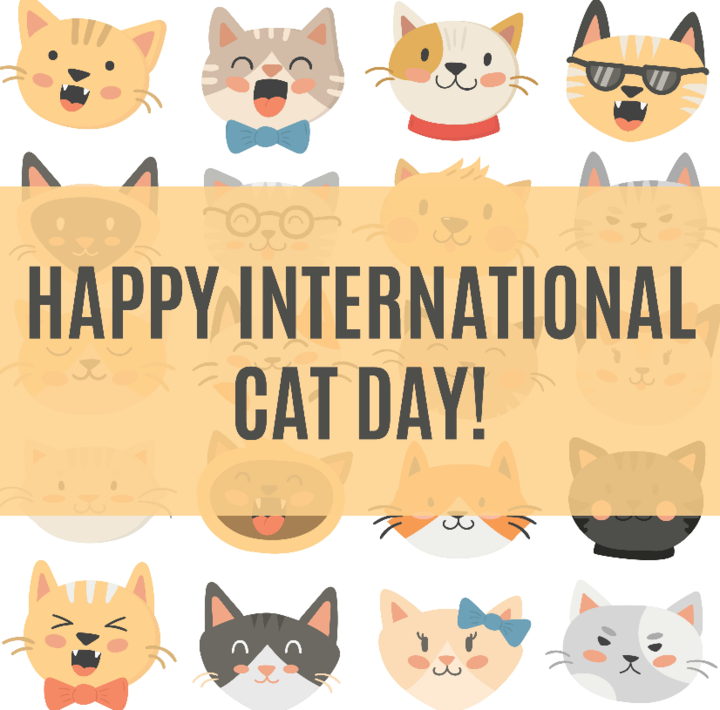 International Cat Day Wishes Images What's up Today