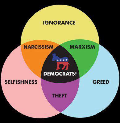 90 Miles From Tyranny : A Venn Diagram To Explain Half Of American