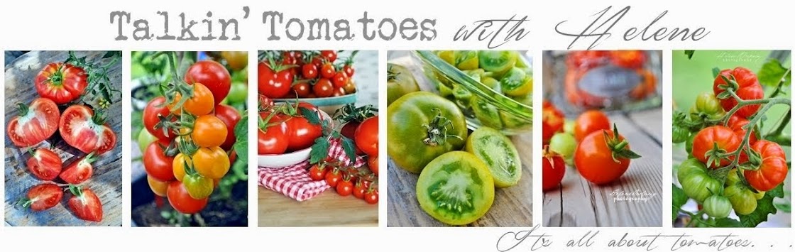 Talkin' Tomatoes with Helene