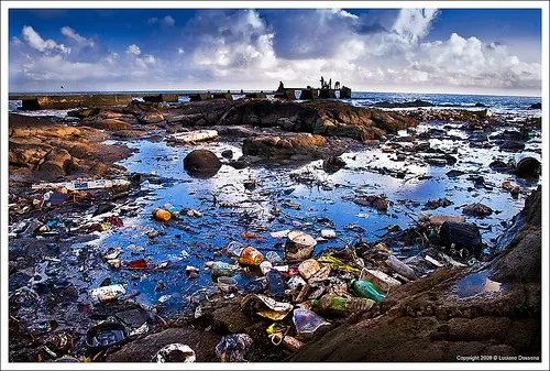 impactos ambientales en mexico