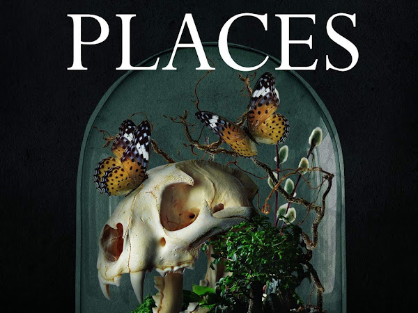 Book Review | The Hollow Place by T Kingfisher