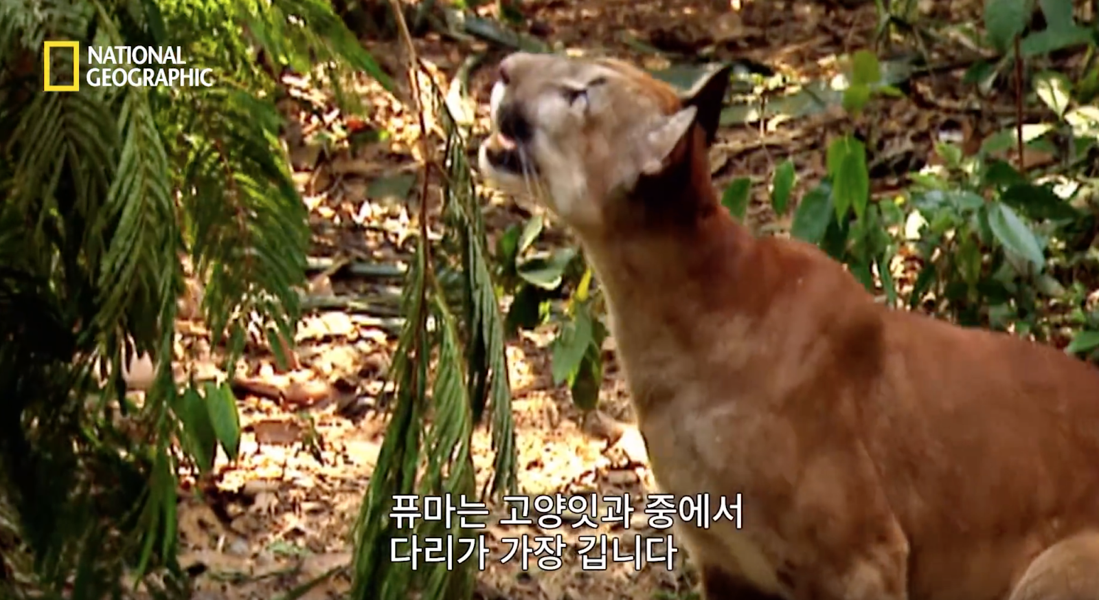 %25E1%2584%2589%25E1%2585%25B3%25E1%2584