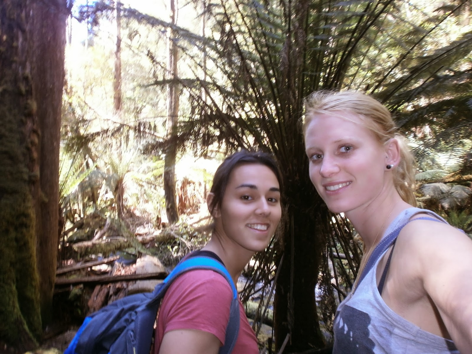 Combien Y A T Il De Plage En Australie Road Trip en Australie: Great Ocean Road part 1