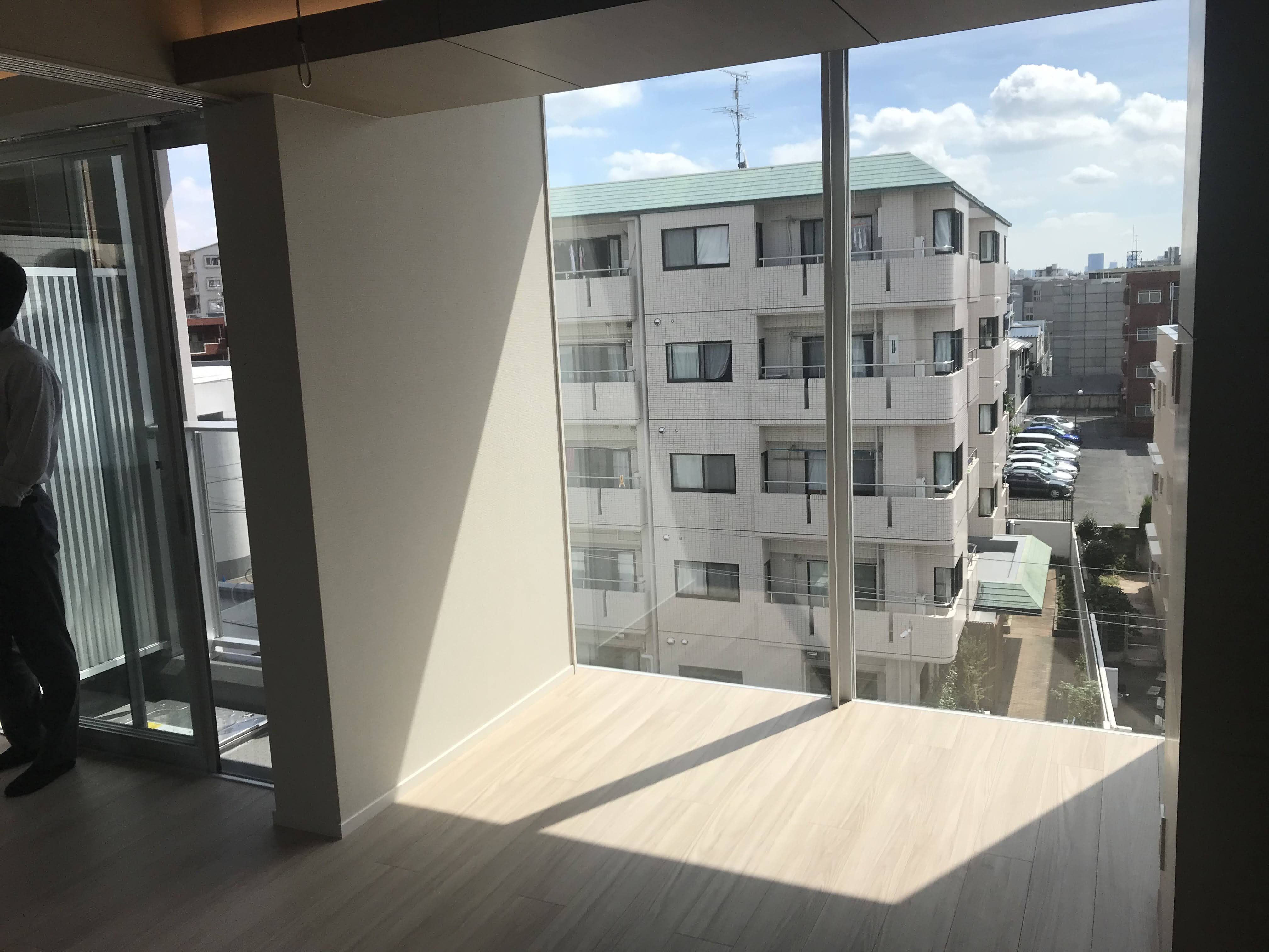 なぜ人間の妊娠は9か月続くのでしょうか?