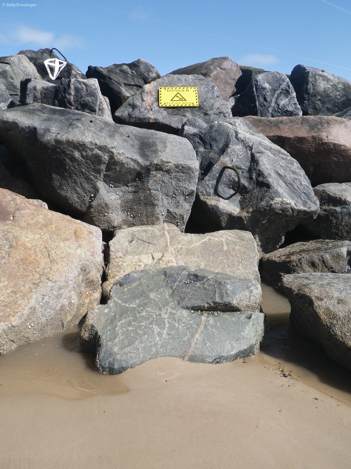 Rock Pooling: May 2014
