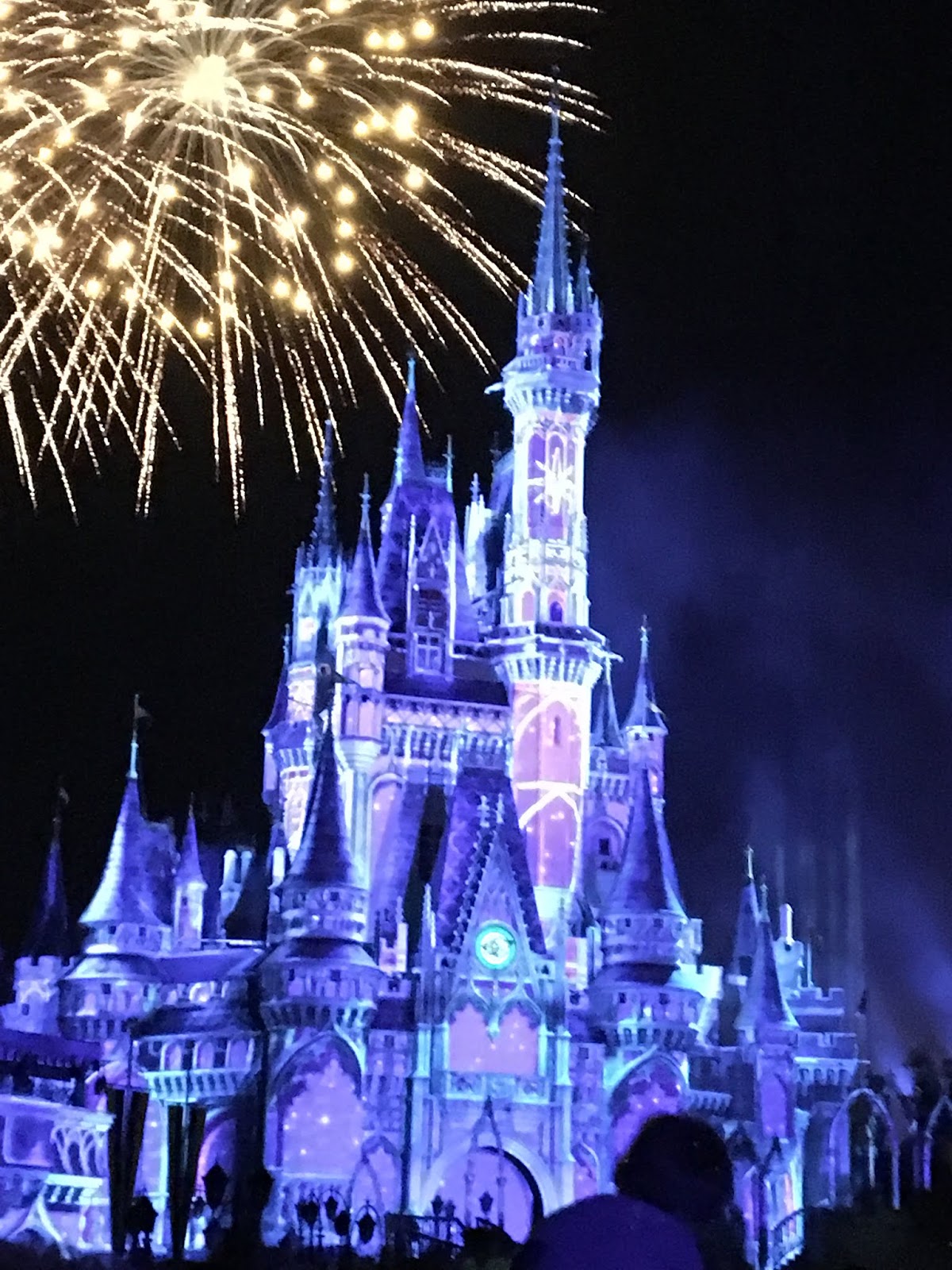 Guide to New Year's Eve at the Magic Kingdom