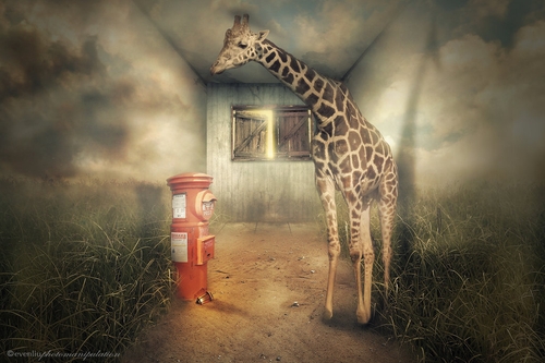 15-Mailing-Even-Liu-Surreal-Photo-Manipulations-and-the-Lantern-www-designstack-co