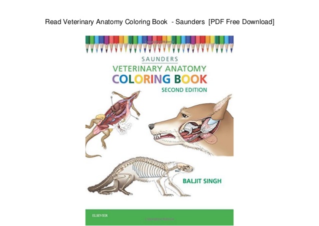 Saunders Veterinary Anatomy Coloring Book - Coloring Books