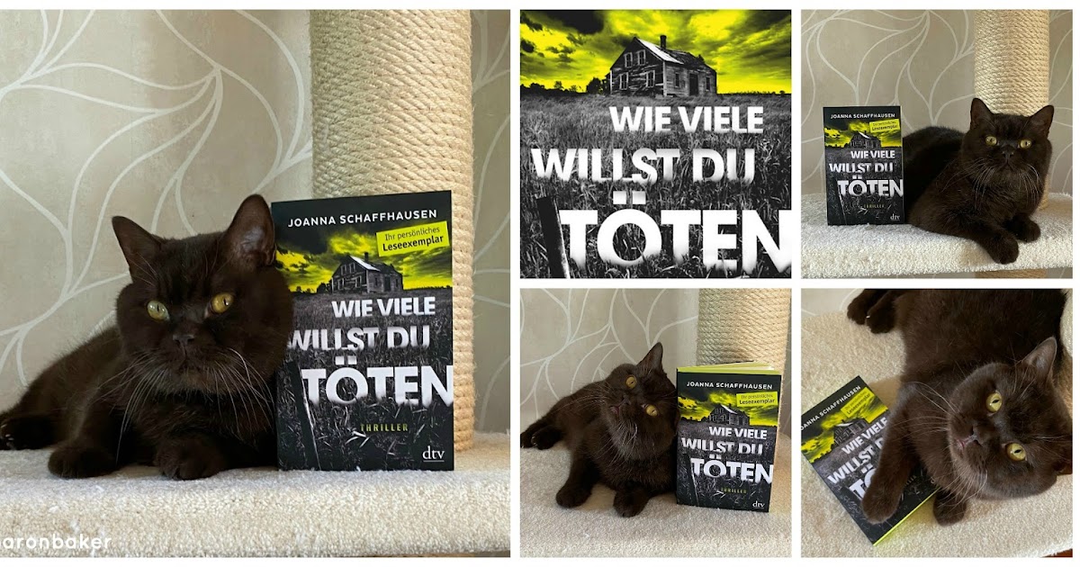 sharon.baker liest... Rezension Joanna Schaffhausen * Wie viele