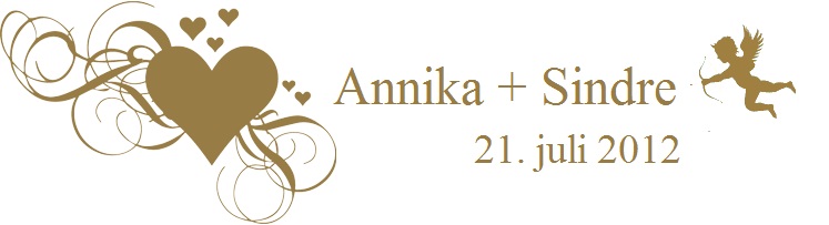Annika + Sindre