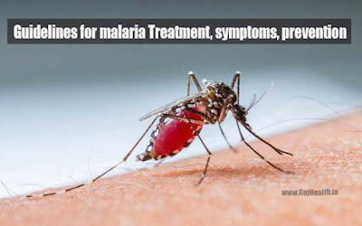 malaria-treatment-symptoms-prevention-in-india-2020