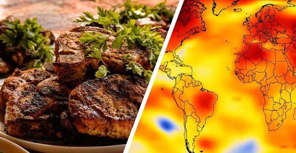 La ONU alerta: hay que comer menos carne para frenar el cambio climático La ONU alerta: hay que comer menos carne para frenar el cambio climático