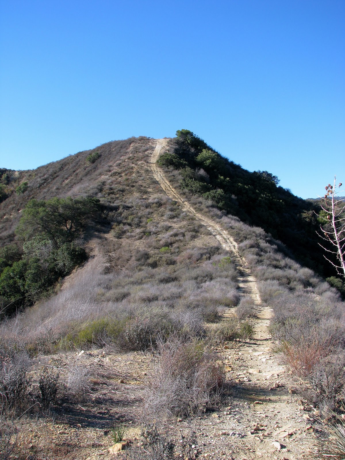 Homer's Travels Hiking Ventura County 32 Heartbreak Hill