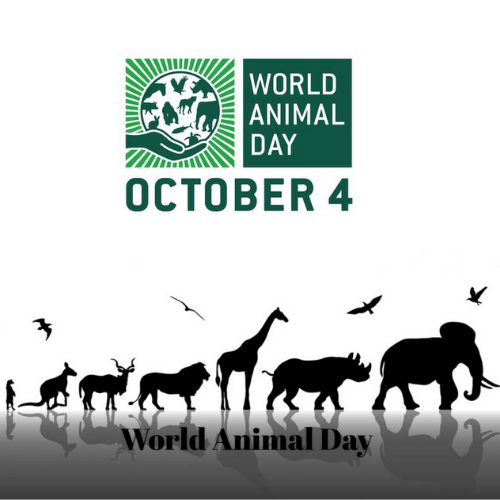 World Animal Day 2020: World Animal Day 2020  थीम, इतिहास और  महत्व 