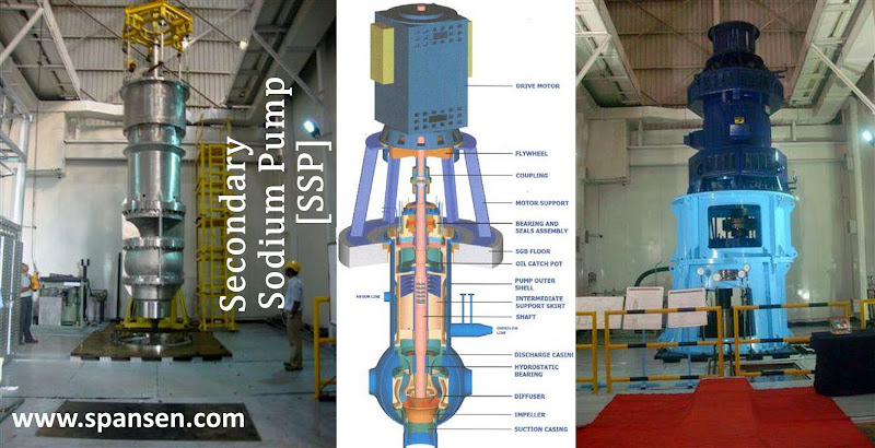 Secondary Sodium Pump - SSP - PFBR - 01