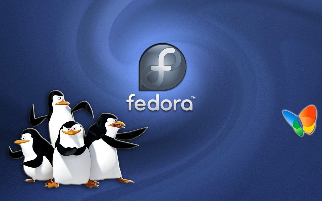 Altre novità in arrivo per Fedora 40: assisteremo all’unificazione delle cartelle /usr/bin e /usr/sbin?