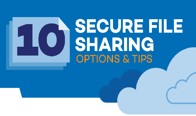 10 Secure File Sharing Options and Tips #infographic