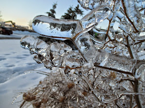 2013 Ice Storm Brampton, ON