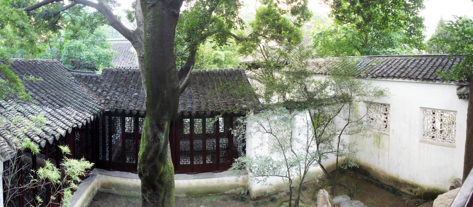 IDEAS BASE EL PATIO CHINO