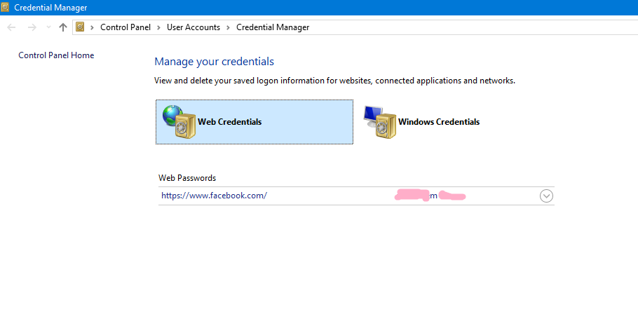 Password credentials. Credential Manager в Windows 11.