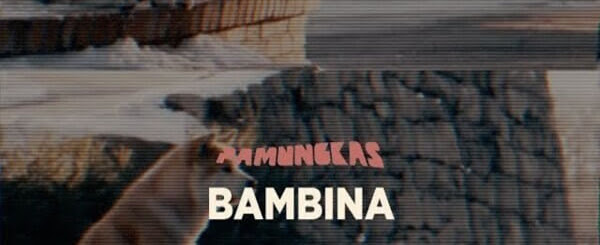 Lirik Lagu The Longest Johns Wellerman Dan Terjemahan Indonesia