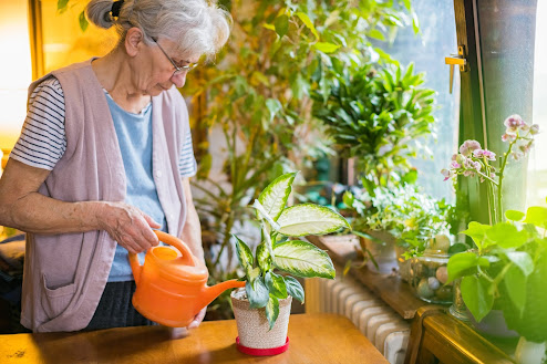 https://umcommunities.org/assisted-living/indoor-gardening-for-seniors-how-to-get-started/