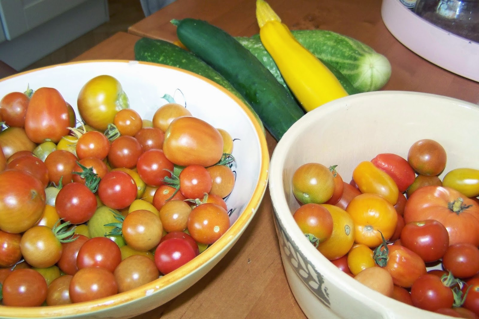 growing tomatoes in containers