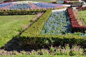 Cara Berkebun Sayur Untuk Pemula Cara Berkebun Sayur Untuk Pemula